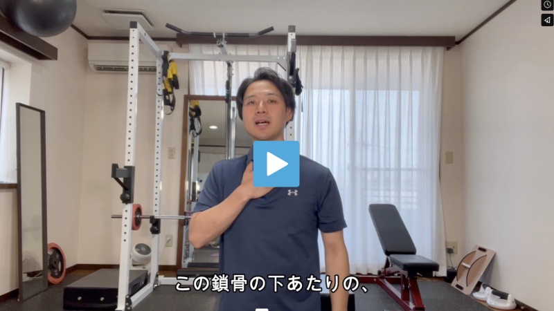 動画サポート