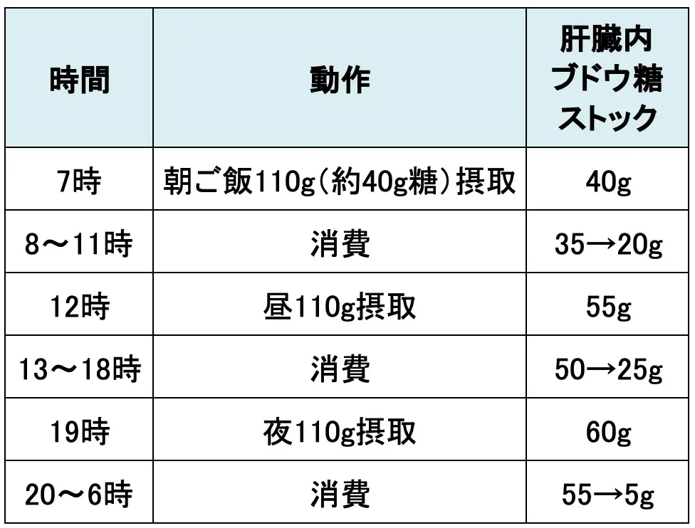 肝臓内にストックされる
ブドウ糖の量の変化